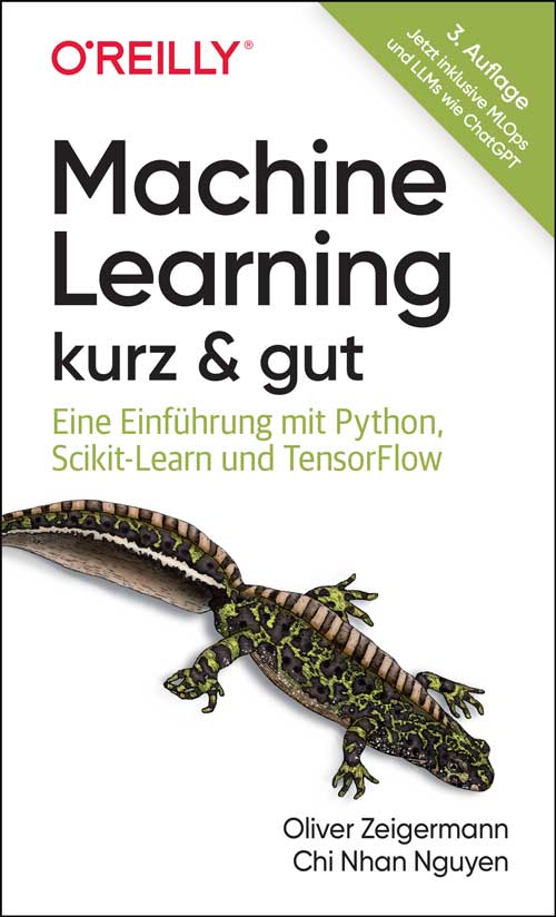 dpunkt-computing-machine-learning-kurz-gut-buch-3-auflage image 1