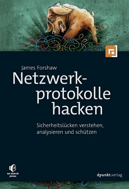 dpunkt-netzwerkprotokolle-hacken-buch-it-security image 1