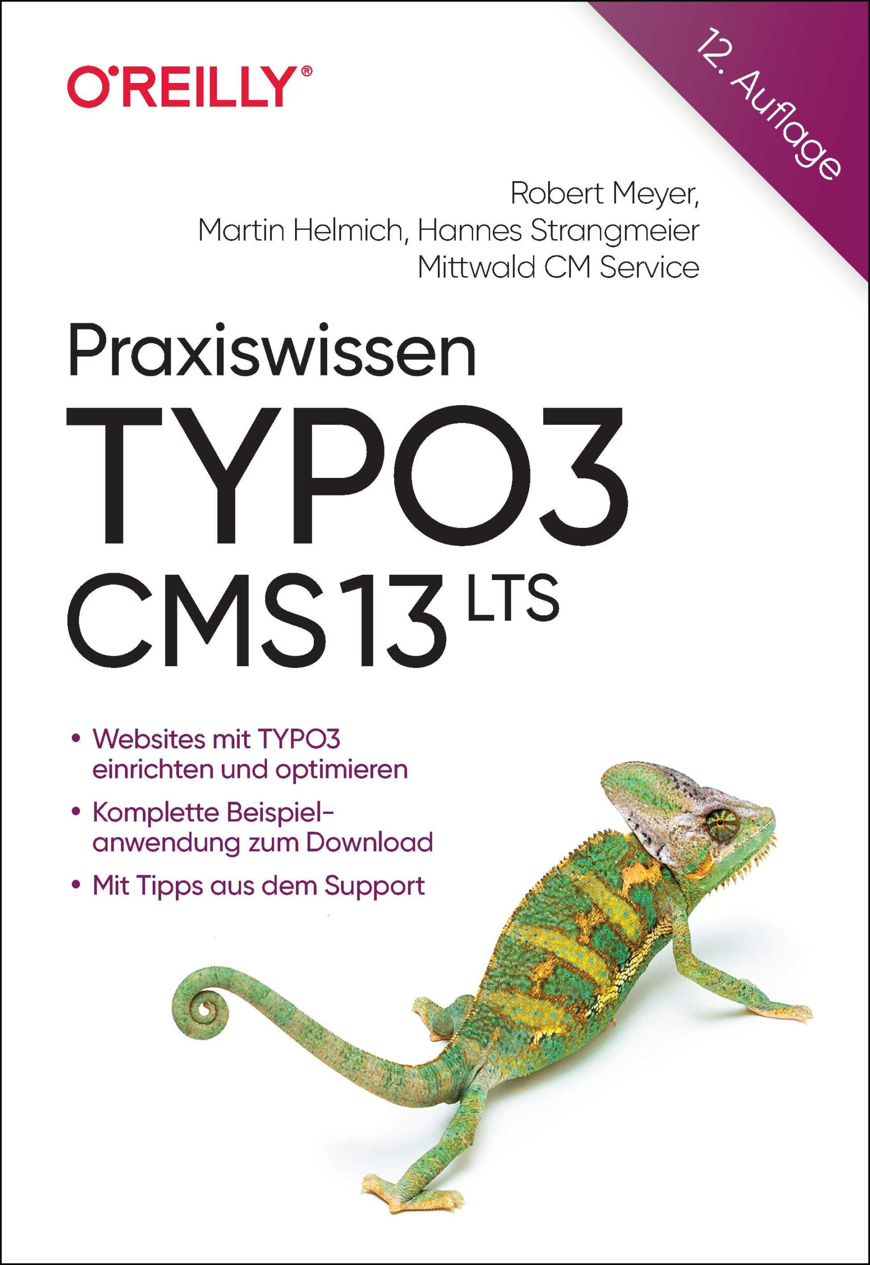 dpunkt-computing-praxiswissen-typo3-cms-13-lts-buch-websites image 1
