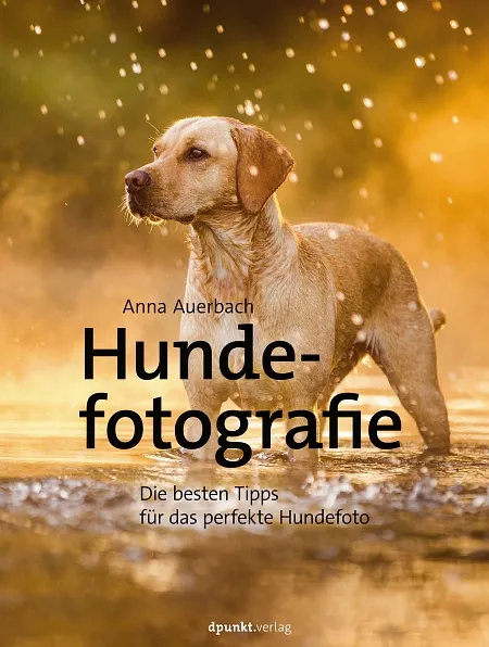 dpunkt-fotografie-hundefotografie-buch-portr-t-und-action image 1