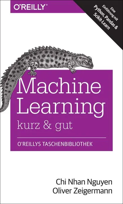 dpunkt-computing-machine-learning-kurz-gut-e-book-digital image 1
