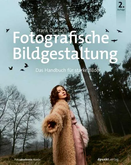 dpunkt-fotografie-fotografische-bildgestaltung-buch-akzent-linie-fl-che image 1