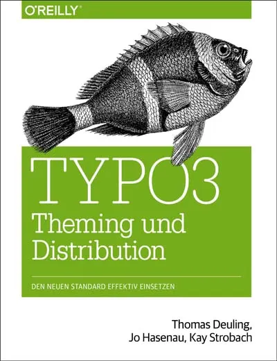dpunkt-computing-typo3-theming-und-distribution-buch-cms-praxis image 1