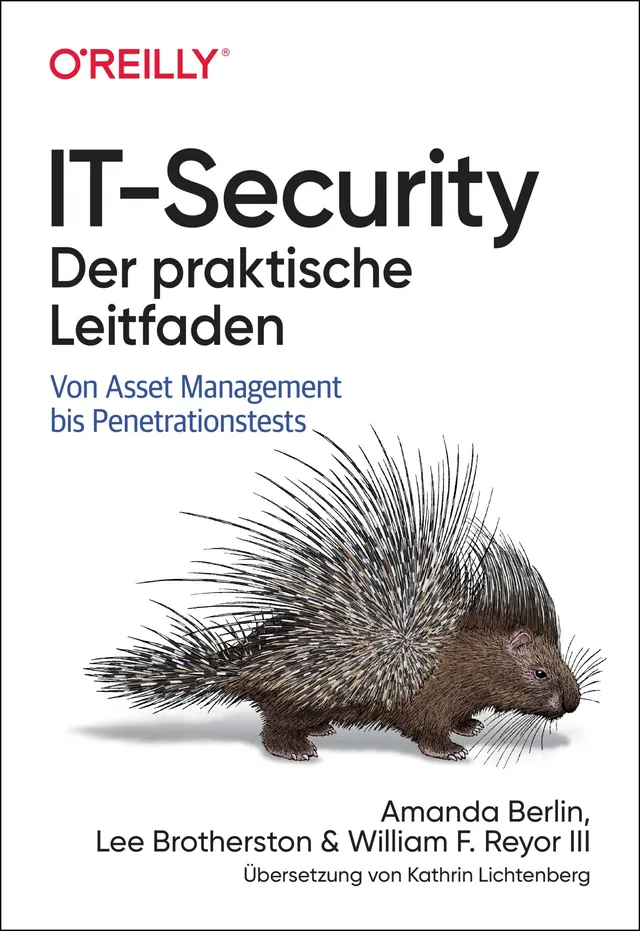 dpunkt-computing-it-security-buch-leitfaden-isms-grundschutz image 1