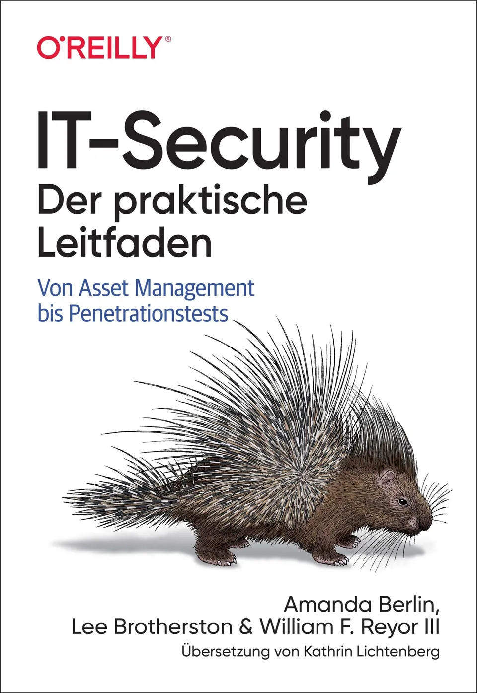 dpunkt-computing-it-security-buch-leitfaden-isms-grundschutz image 1