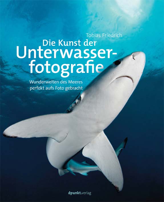 dpunkt-fotografie-kunst-der-unterwasserfotografie-e-book image 2