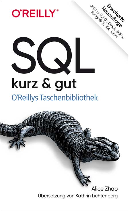 dpunkt-computing-sql-kurz-gut-taschenbuch-f-r-abfragen image 1