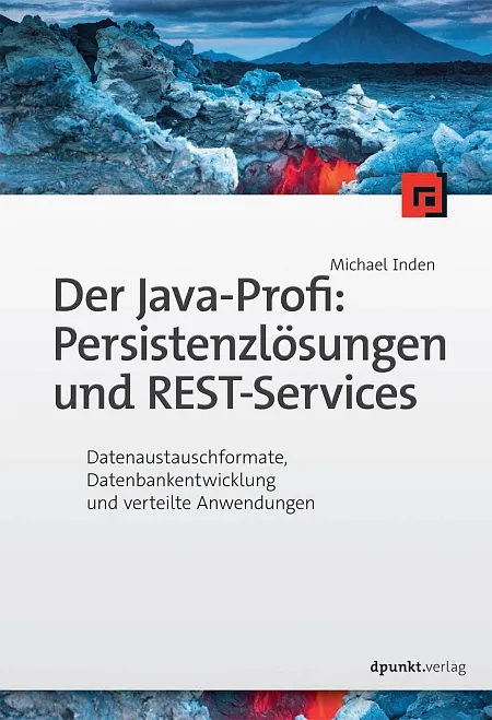 dpunkt-computing-der-java-profi-persistenzl-sungen-und-rest-services-buch image 1