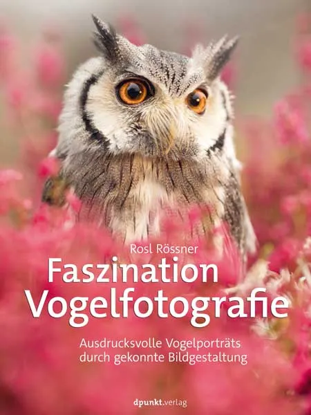 dpunkt-fotografie-faszination-vogelfotografie-buch-vogelportr-ts-einsteiger image 1