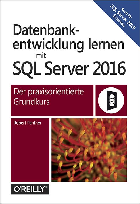dpunkt-computing-datenbankentwicklung-sql-server-2016-buch image 2