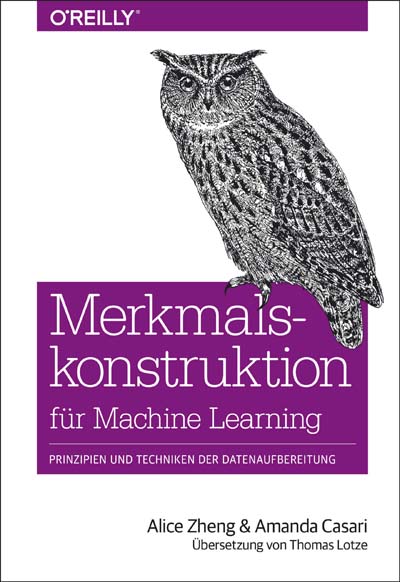 dpunkt-computing-merkmalskonstruktion-f-r-machine-learning-buch image 1