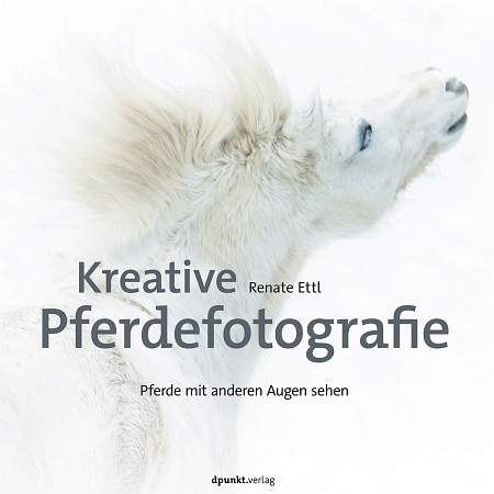 dpunkt-fotografie-kreative-pferdefotografie-buch-pferde image 1