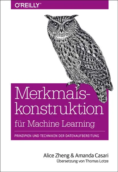 dpunkt-computing-merkmalskonstruktion-f-r-machine-learning-buch image 1