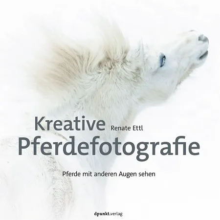 dpunkt-fotografie-kreative-pferdefotografie-buch-pferde image 1