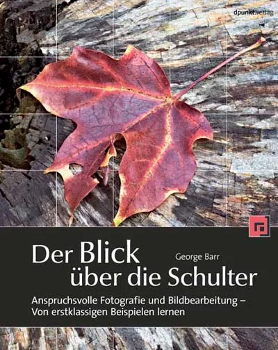 dpunkt-computing-der-blick-ber-die-schulter-buch-it image 1