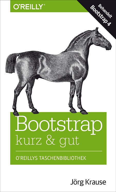 dpunkt-computing-bootstrap-kurz-gut-buch-css-framework image 1