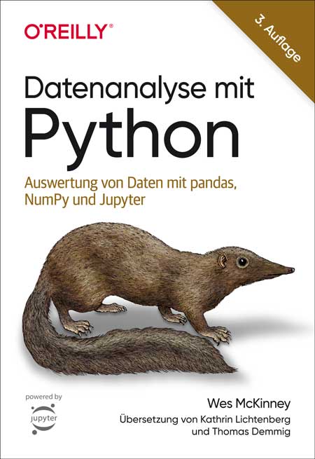 dpunkt-computing-datenanalyse-mit-python-buch-pandas-3-auflage image 1