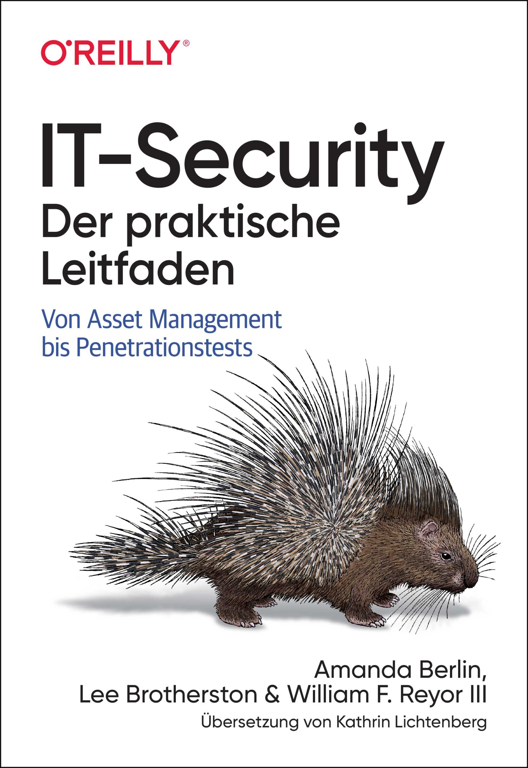 dpunkt-computing-it-security-buch-leitfaden-isms-grundschutz image 1