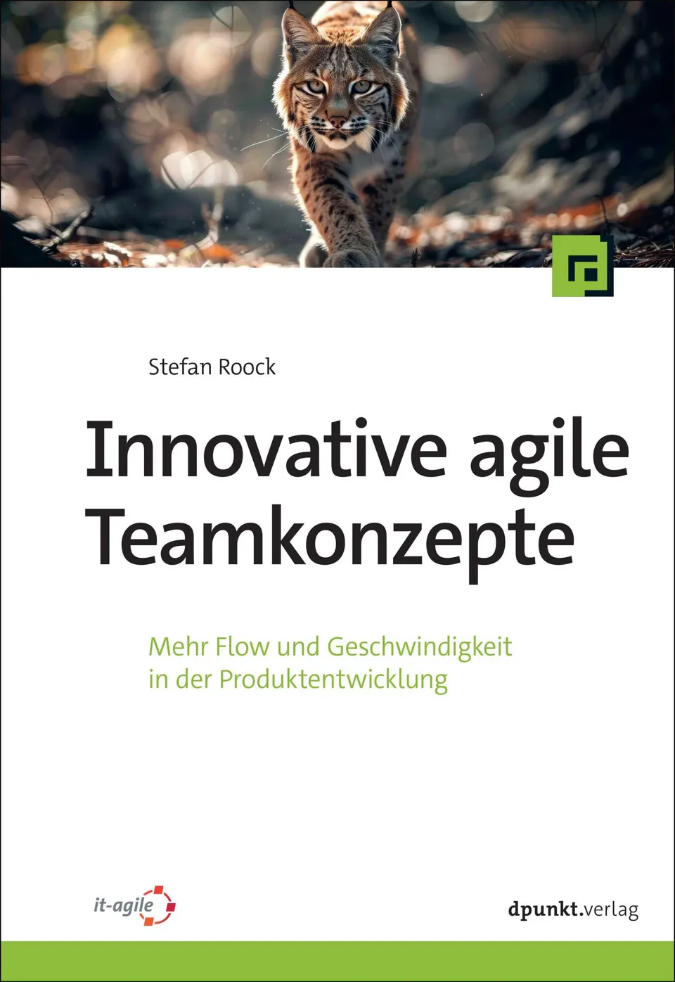 dpunkt-business-it-innovative-agile-teamkonzepte-buch-agile-teams image 1