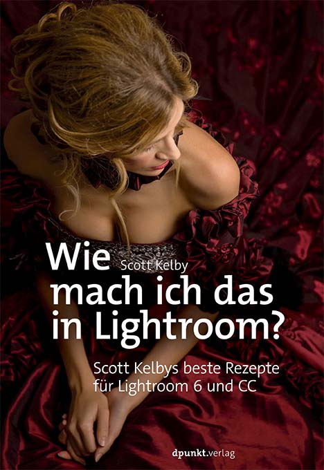 dpunkt-fotografie-wie-mach-ich-das-in-lightroom-e-book-digital image 1