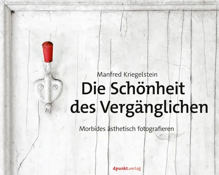 dpunkt-fotografie-die-sch-nheit-des-verg-nglichen-buch-kriegelstein image 1