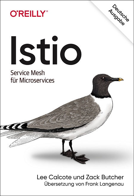 dpunkt-computing-istio-buch-service-mesh-kubernetes image 1