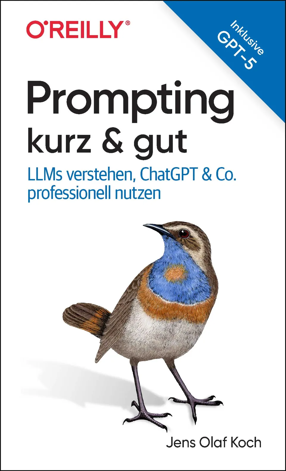 dpunkt-computing-prompting-kurz-gut-buch-llm image 1